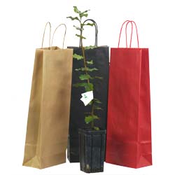 etui cadeau plant truffier